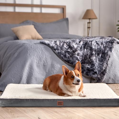 Orthopedic Dog Bed Large with Removable Washable Cover (35*23*3.5 inches / Beige)