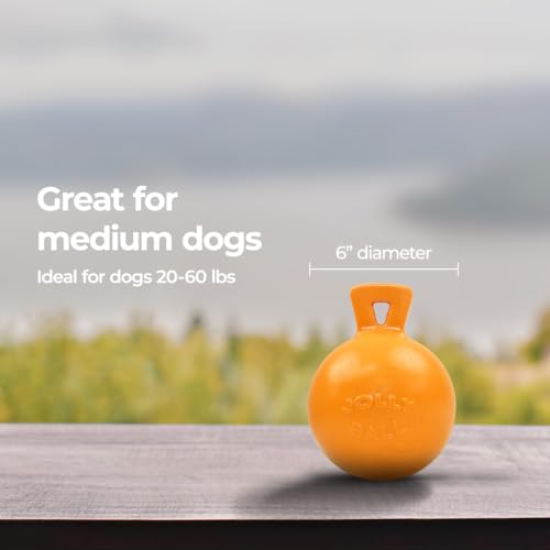Tug-n-Toss - Heavy Duty Chew Ball w/ Handle (Orange, 6") (Orange / Medium (6 in))