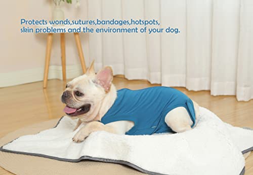 Dog Surgery Recovery Suit (L(Back15- 17" Chest 21- 23" Weight 25- 36 lb) / Blue)