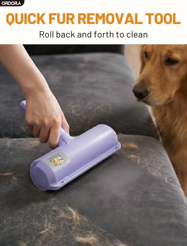 Pet Hair Remover Roller (C：purple)