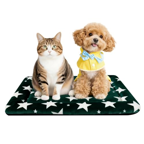 Dog Bed Mat Soft & Comfortable Dog Kennel Pad for Crate (S(24"*18"*1.5") / Big&Little Stars Green-1pc)