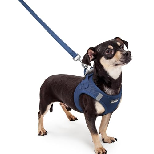 Dog Harness Small Sized and Leash Set (Navy Blue / Xxxs (chest: 10.8 - 11.8"))