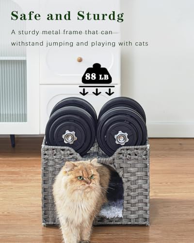 Cat Beds Indoor Kitten House (Gray / Rectangle-M)