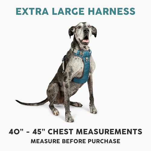 Embark No Pull Dog Harness (XL / Blue)