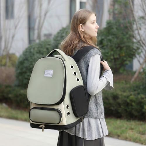 Cat Backpack Carrier (Green Mesh)