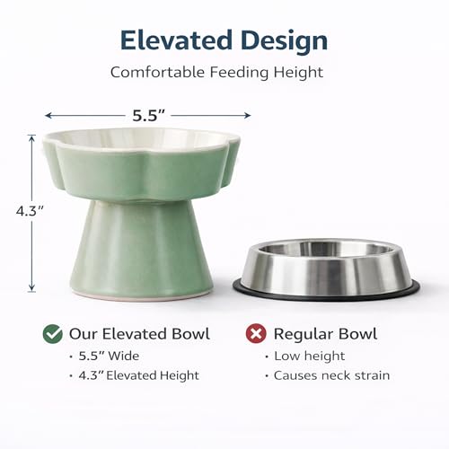 Ceramic Elevated Slow Feeder Cat Bowl (Green/Ivory)