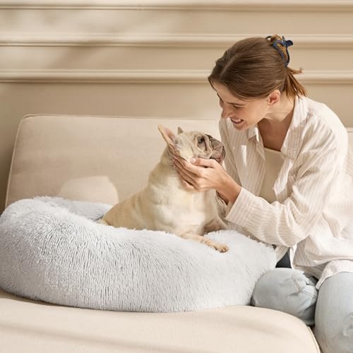 Calming Cat Beds Donut Round Washable Kitten Bed (20"L x 20"W x 6"Th / Frost Grey)