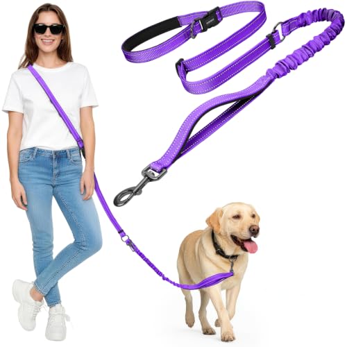 Hands Free Dog Leash by Kazazoo (PRUPLE Bungee / M)