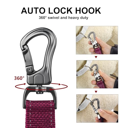 4FT Heavy Duty Dog Leash with Soft Padded Double Handle (4 FT x 1 in Wide / Rose)