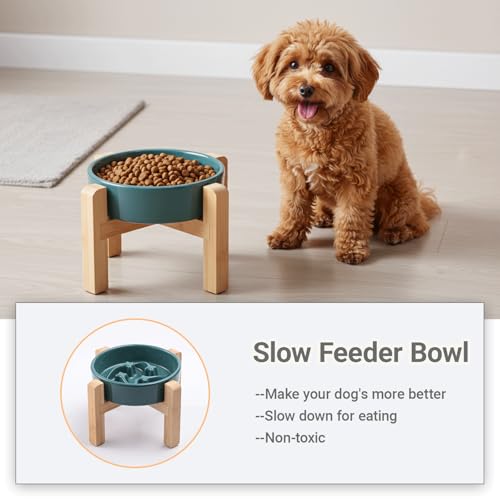 Ceramic Slow Feeder (Stars mark-Forest Green / 8.26in)