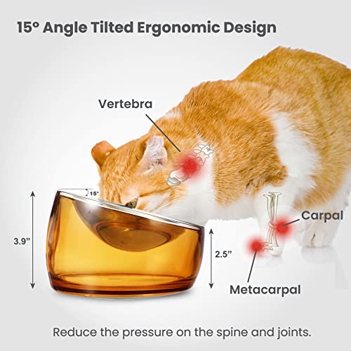 Pet Oblik Whisker Fatigue Cat Food Bowl Raised Stainless Steel Shallow Dish (Gold / 0.5 Cups Shallow Dish)