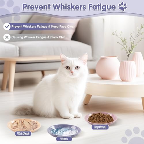 6 Pack Cat Food Bowl (CaiSe-A)