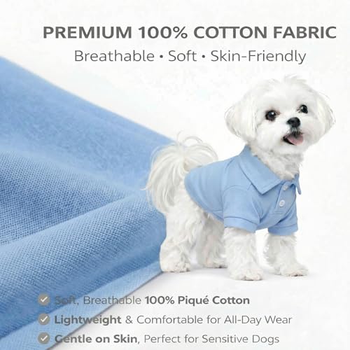 Basic Dog Polo Shirts Premium Cotton (XL (-35lbs) / Sky-Blue)