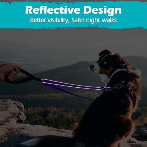 Two Point Control Dog Leash (Purple)
