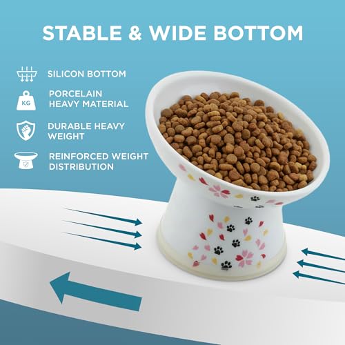 Necoichi Ceramic Raised Cat Food Bowl (Sakura / Regular Tilted)