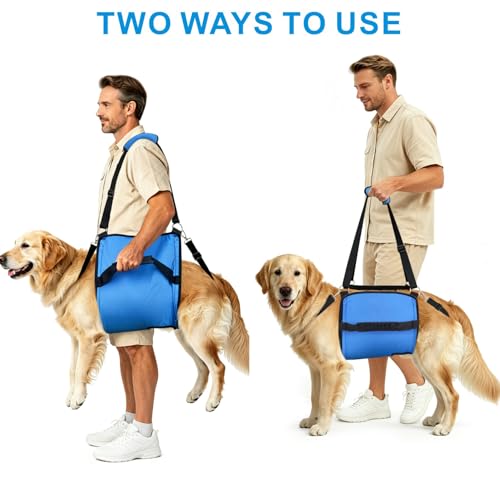 Rehab Dog Lift Harness (Blue / Large)