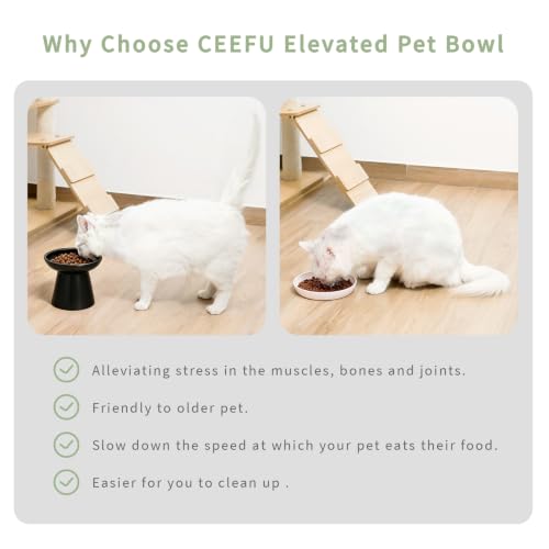 2 Pack Elevated Ceramic Cat Bowls Extra Wide for Food & Water (Black)