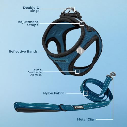 Voyager Step in Air All Weather Mesh Harness and Reflective Dog 5ft Leash Combo with Neoprene Handle (Blue/Black Trim / M (Chest: 16 - 18"))