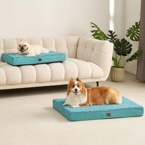 Orthopedic Dog Bed Large with Removable Washable Cover (35*23*3.5 inches / Turquoise Blue)