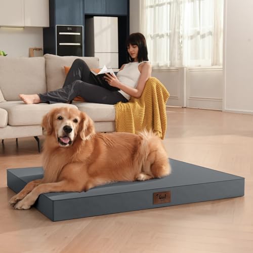 Outdoor Waterproof Orthopedic Dog Bed for Large Dogs (Grey / 36.0"L x 27.0"W x 3.0"Th)