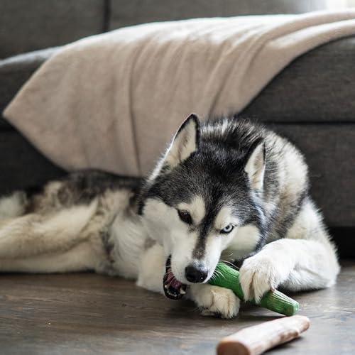 Dogwood Breath Stick Dog Chew Toy (Dogwood & Fresh Breath)