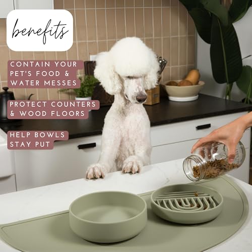 Silicone Dog Food Mat (Blush / Large)