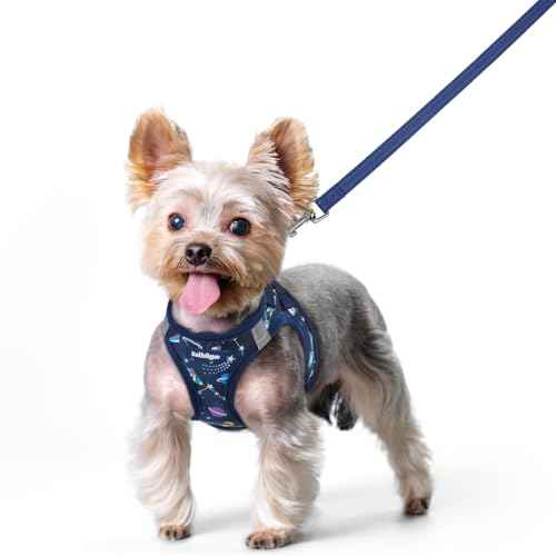 Dog Harness Small Sized and Leash Set (Navy Space Pups / Xs (chest: 13.3 - 15.5"))