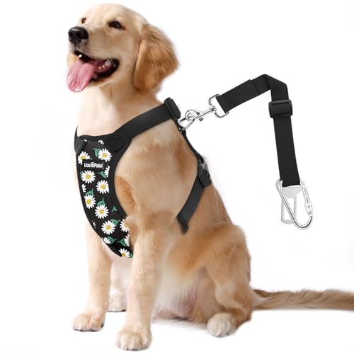 Dog Seat Belt (Black Daisy / L (Chest: 22-32.3", Neck: 16.9-26"))
