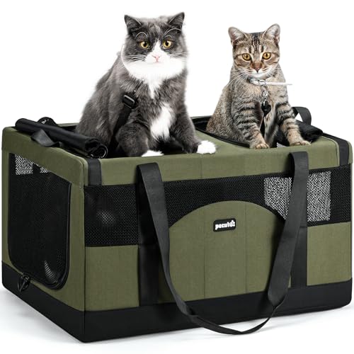 Large Cat Carrier (Green)
