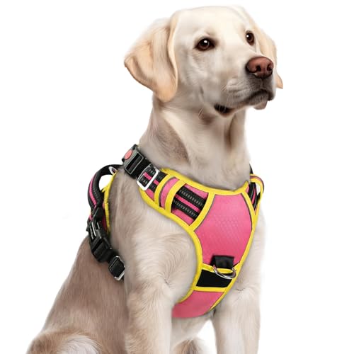 Dog Harness for Large (Pink & Yellow / Large)