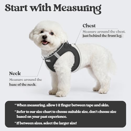 Dog Harness Small Sized and Leash Set (Black / Xxxs (chest: 10.8 - 11.8"))
