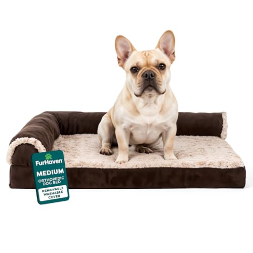 Orthopedic Dog Bed for Medium (Medium / Espresso)