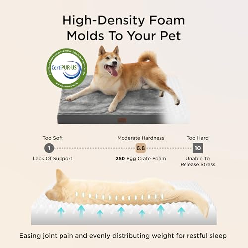 ComfyFleece Dog Bed Medium Size Dog with Washable Cover (29x18x2.8 / Charcoal Grey)