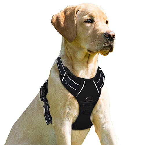 Dog Harness No Pull for Small Sized Dog Front Back Clips (Small(Chest:19.5-26") / Black)