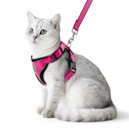 Cat Harness and Leash Set Escape Proof Reflective Cat Walking Harness Adjustable Soft Breathable Mesh Vest for Small Pets (M (NECK 11"-13.7", CHEST 16"-20") / Deep Pink)