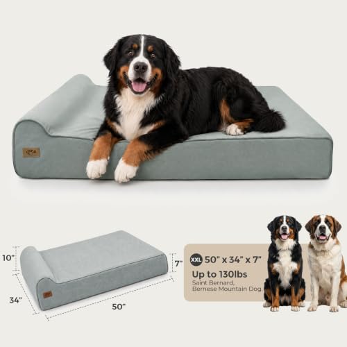 XXL 35D Memory Foam Dog Bed for Extra Large Dogs (XX-Large / Light Blue)