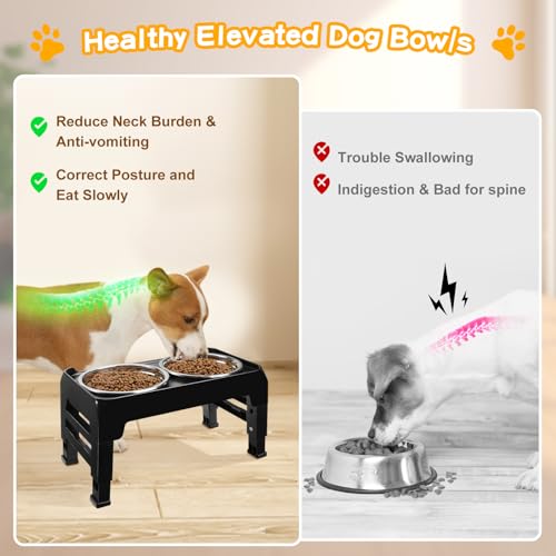 Elevated Dog Bowls for Small Medium Dogs (Black / 6" for Small Dogs)