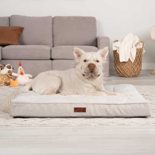 Orthopedic Dog Bed (Large / Light Gray)