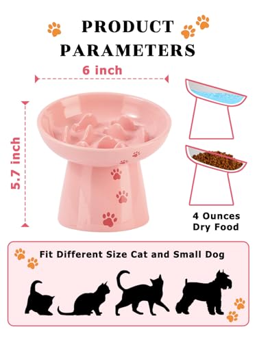 6 Inch Slow Feeder Bowl (Pink)