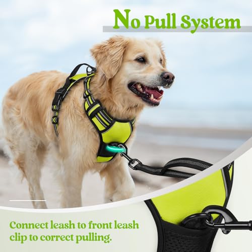 Dog Harness No Pull for Small Dogs with 2 Leash Clips (Small / Wild Lime)