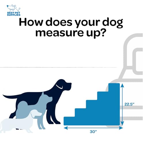 Dog Stairs & Steps (Gray / H: 22.5 Inches)
