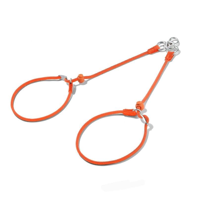Slip Lead Leash 2 Dogs (Orange / w/o Handle)