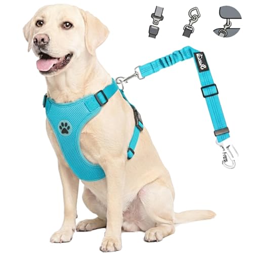 Dog Car Harness Seat Belt (Small / Light Blue)