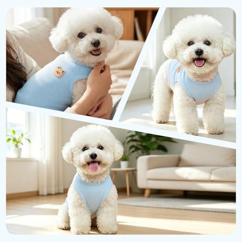 Dog Clothes for Small Dogs (Green&Blue&Purple / Medium(4.1-9lb))