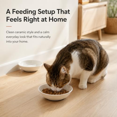 Non Slip Cat Food Bowls (white-B)