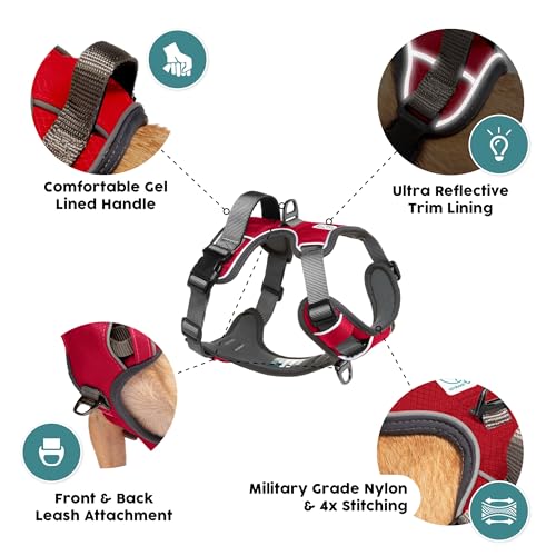 Embark No Pull Dog Harness (M / Red)