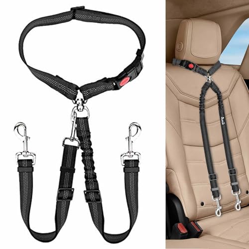 Double Dog Car Seat Belt (Black-Detachable)