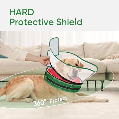 Sponge Dog Cone Collar Stop Licking After Surgery (Watermelon / M(Neck 8.5"-11.5"))