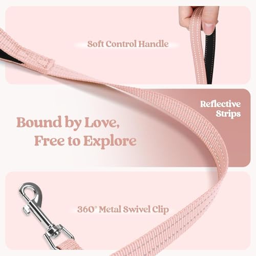 Dog Harness Medium Sized and Leash Set (Pink / Xxl (chest: 21.6 - 23.7"))