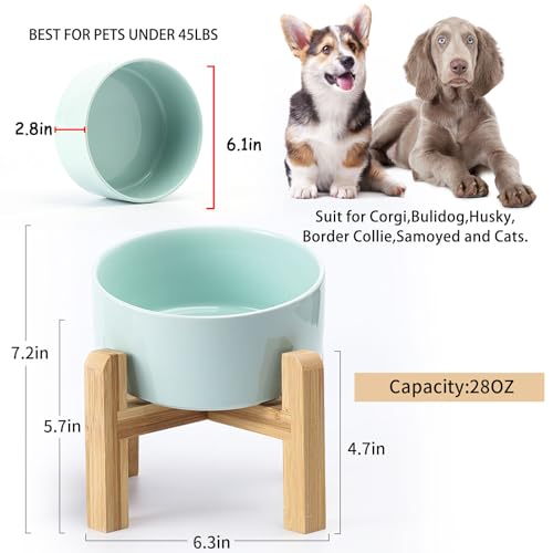 Elevated Raised 15°Slanted Ceramic Dog Bowl for Small and Medium Breeds (Blue Sky / 3.6 CUPS - Medium Dog Bowls)